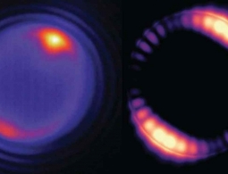 «Микролазеры» размером с клетку могут регулировать активность мозга