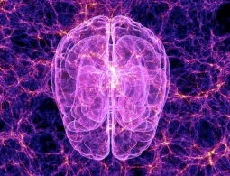 Величайшие загадки: что такое сознание?