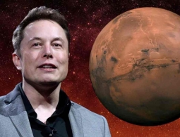 Илон Маск и новое исследование об инопланетной жизни: мы должны лететь на Марс