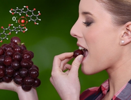 Лук или вино? Что предпочтет истинный ценитель витаминов