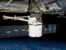 Лекарство от рака, водоросли и мыши: что еще отправят на МКС в рамках будущей миссии?