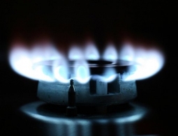 Найден новый способ добычи газа из органических отходов и навоза