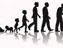 Предел человеческого долголетия достигнут? Как бы не так!