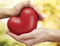 Американские ученые напечатали на 3D-принтере работающую сердечную мышцу