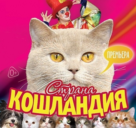 Страна кошландия | Московский театр кошек В.Куклачева