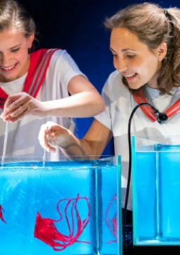 Крошечный океан | The Train