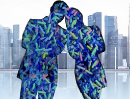 Серые кардиналы организма: как микробы управляют людьми