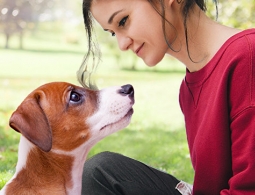 "Очеловечивание человека": почему собаки так хорошо понимают людей