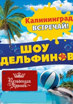 Шоу дельфинов