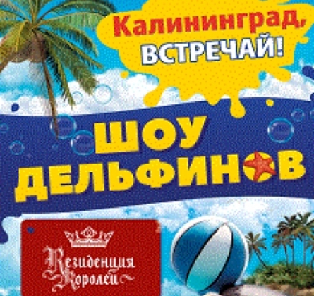 Шоу дельфинов