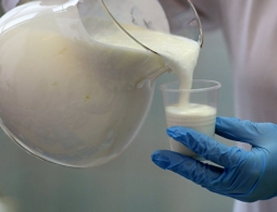 Молочный бизнес обязали маркировать продукты с заменителями молочного жира
