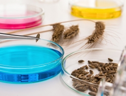 Ученые выяснили, что ел человек пять тысяч лет назад