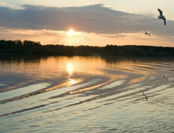 Ученые рассказали о падении солнечной активности