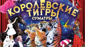 Тайна королевских тигров | Цирк