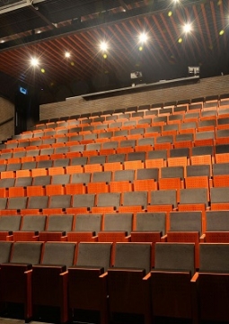 Безмолвная весна