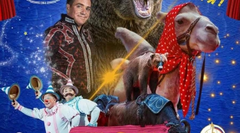 Цирк | Искусство дружить