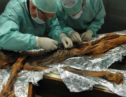 5300 лет назад умер «снежный человек» Оцци. Теперь мы знаем, что он скушал перед смертью