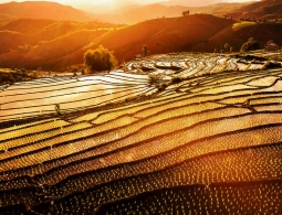 Ресурсы Земли подошли к пределам из-за перенаселенности? Как бы не так