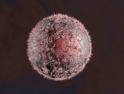 Российские ученые разработали новую технологию лечения рака