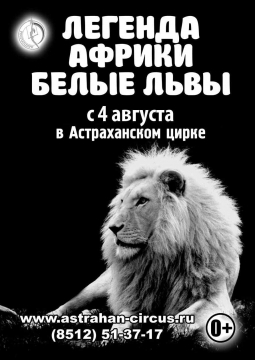 Цирк | Белые львы