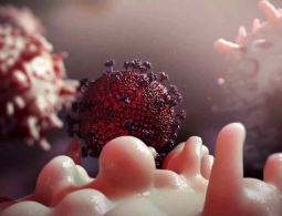 «Забытый» иммуноглобулин эффективно защитил от ВИЧ