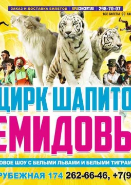 Цирк Демидовых