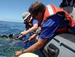 Экологи рассчитали масштабы влияния человека на Мировой океан