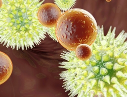 "Излечим полностью". Вирус гепатита контролируют и уничтожают