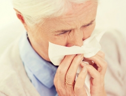 Медики из США создали "универсальную" нановакцину от гриппа