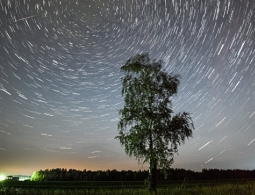 Россияне увидят самый красивый звездопад года