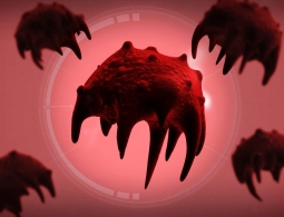 Древнейшей формы жизни на Земле больше, чем звезд во Вселенной