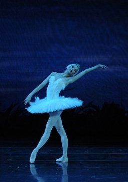 Лебединое озеро | Музыкальный театр им. Станиславского