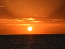 Ученые предупредили об опасности наступления аномальной жары