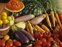 Жизнь без животной пищи: врачи рассказали о плюсах и минусах вегетарианства