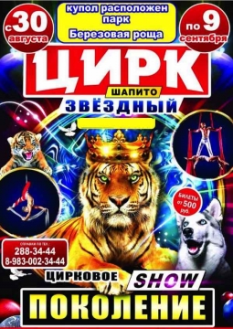 Цирк шапито | ЗВЁЗДНЫЙ