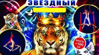 Цирк шапито | ЗВЁЗДНЫЙ