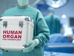 Впервые осуществлена пересадка лёгких «из пробирки»