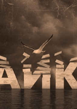 Чайка | Свердловский театр драмы