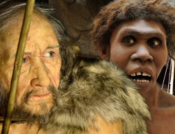 Ученые опровергли миф об эволюции человека