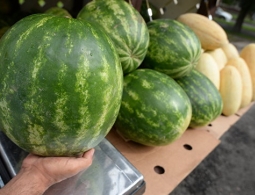 Госдуме предложили штрафовать магазины за продукты с нитратами