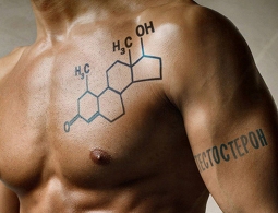 Вера в победу увеличивает количество тестостерона и влечение к противоположному полу