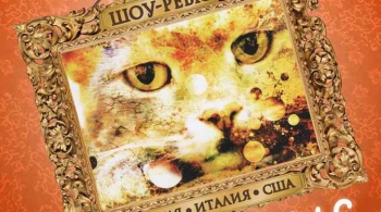 Смешные коты | Шоу-ревю