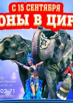 ЦИРК | Шоу cлонов