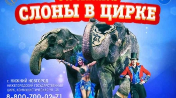 ЦИРК | Шоу cлонов