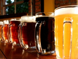 Отходы пивоварения используют для строительства домов на Марсе