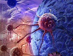 Названы продукты, предотвращающие рак