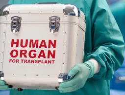 Американский стартап научился безопасно замораживать органы на длительный срок