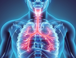 Грязный воздух уменьшает продолжительность жизни более чем на год