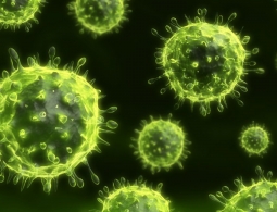 Разработан гель, который защитит от большинства существующих вирусов