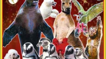 Цирк | Ласта-Рика